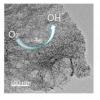 為ORR開發(fā)的新型電催化劑