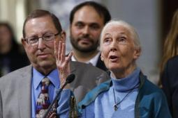 洛杉磯在她85歲生日時(shí)對(duì)Jane Goodall表示敬意