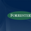 Forrester的2019年首席信息官預(yù)測(cè)減少