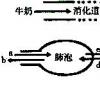 了解生理鏡活動(dòng)的機(jī)制有助于更好地理解臨床上鏡像運(yùn)動(dòng)的病理