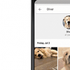 Google相冊現(xiàn)在可以更好地識別您的寵物并對其進行分組