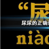 抖音短視頻問答：抖音尿尿的正確讀音是什么梗 為什么尿尿讀成niaosui出處解釋