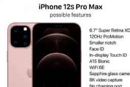 iPhone 12s Pro Max依舊采用了劉海設(shè)計(jì)