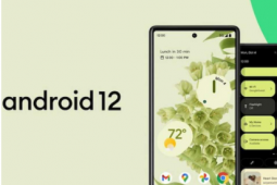 Android12發(fā)布誰先得到它