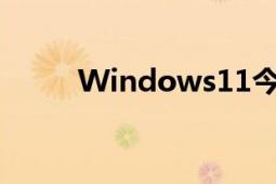 Windows11今年迎來大版本更新