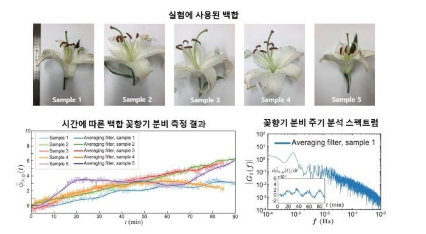 研究人員首次實(shí)時(shí)可視化花香