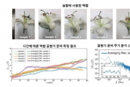 研究人員首次實時可視化花香