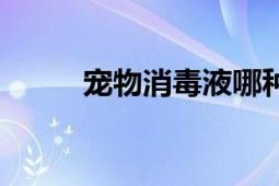 寵物消毒液哪種好（寵物消消看）