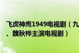 飛虎神鷹1949電視?。ň旁满楋w 1986年香港亞視版劉松仁、魏秋樺主演電視劇）