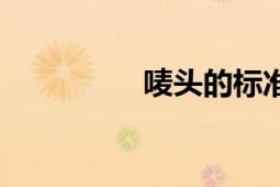 嘜頭的標(biāo)準(zhǔn)格式（嘜頭）