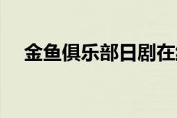 金魚俱樂部日劇在線觀看（金魚俱樂部）