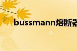 bussmann熔斷器選型（Bussmann）