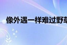 像外遇一樣難過(guò)野草莓2008年出版的書(shū)籍