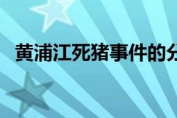 黃浦江死豬事件的分析（黃浦江死豬事件）