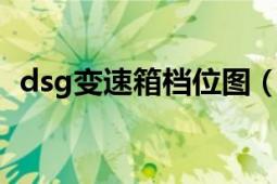 dsg變速箱檔位圖（DSG 直接換擋變速器）