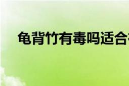 龜背竹有毒嗎適合在室內(nèi)養(yǎng)嗎（龜背竹）