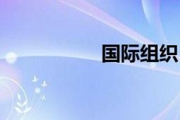 國(guó)際組織（國(guó)際組織）