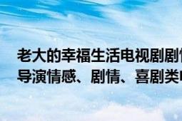 老大的幸福生活電視劇劇情介紹（老大的幸福 2010年李路導(dǎo)演情感、劇情、喜劇類電視劇）