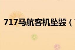 717馬航客機(jī)墜毀（717馬航客機(jī)墜毀事件）