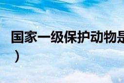 國(guó)家一級(jí)保護(hù)動(dòng)物是什么（國(guó)家一級(jí)保護(hù)動(dòng)物）