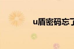 u盾密碼忘了怎么辦（u盾）