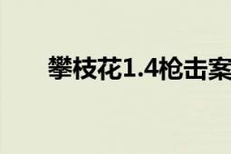 攀枝花1.4槍擊案（14攀枝花槍擊案）