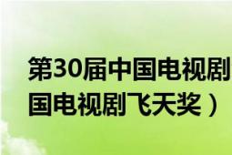 第30屆中國電視劇金鷹獎任嘉倫（第30屆中國電視劇飛天獎）