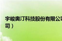 宇峻奧汀科技股份有限公司官網(wǎng)（宇峻奧汀科技股份有限公司）