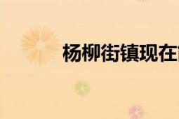 楊柳街鎮(zhèn)現(xiàn)在簡(jiǎn)介（楊柳街鎮(zhèn)）