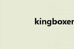 kingboxer（KINGBOX）