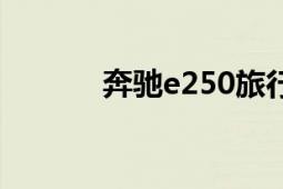 奔馳e250旅行車（奔馳E250）