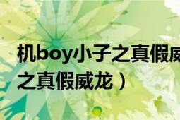 機boy小子之真假威龍在線播放（機Boy小子之真假威龍）