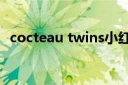 cocteau twins小紅莓（Cocteau Twins）