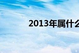 2013年屬什么生肖（2013年）