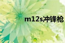 m12s沖鋒槍（M12S沖鋒槍）