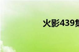 火影439集（火影4代）