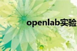 openlab實驗平臺（openlab）