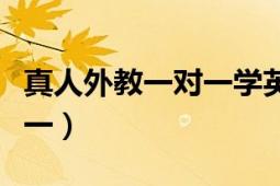 真人外教一對一學(xué)英語哪家好（真人外教一對一）