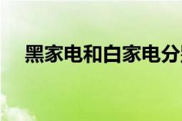 黑家電和白家電分別是什么（黑家白日）