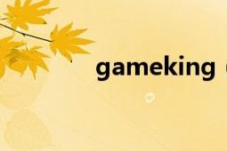 gameking（GAMEKING）