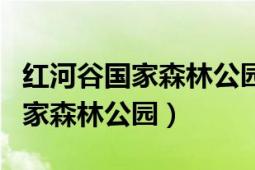 紅河谷國家森林公園游玩多長時間（紅河谷國家森林公園）