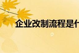 企業(yè)改制流程是什么（企業(yè)改制流程）