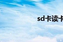 sd卡讀卡器（SD卡）