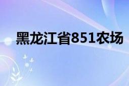 黑龍江省851農(nóng)場（黑龍江省8510農(nóng)場）