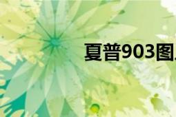 夏普903圖片（夏普903）