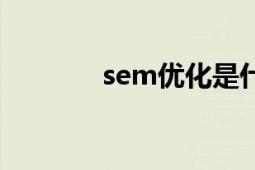 sem優(yōu)化是什么（sem優(yōu)化）