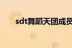 sdt舞蹈天團(tuán)成員表（SDT舞蹈天團(tuán)）