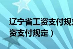 遼寧省工資支付規(guī)定第28條規(guī)定（遼寧省工資支付規(guī)定）