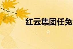 紅云集團(tuán)任免公示（紅云集團(tuán)）