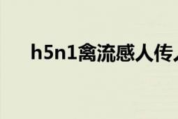 h5n1禽流感人傳人嗎（H5N1禽流感）